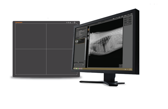 uc-1 Detector Focus 35C Veterinario - Imagen 1